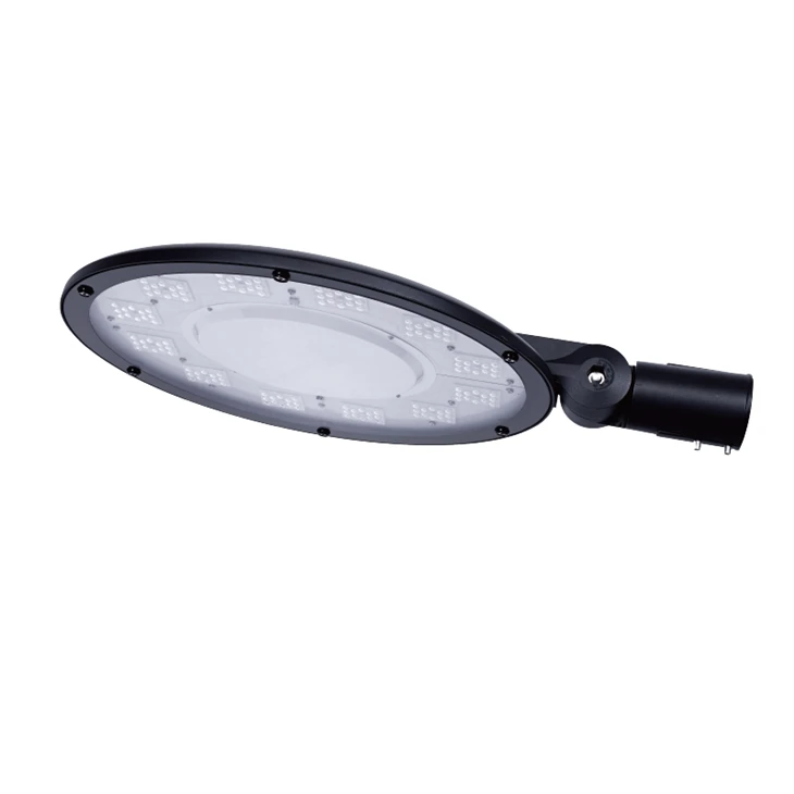 100W LED vrtna luč
